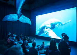 Tickets to Whales of Iceland Museum 2 Tickets to Whales of Iceland Museum 2