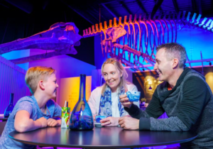 Tickets to Whales of Iceland Museum 4 Tickets to Whales of Iceland Museum 4